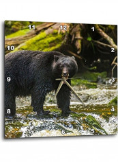 Bear Wall Cock Multicolour 13x13inch reviews Bear Wall Cock Multicolour 13x13inch
