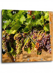 Grapes Printed Analog Wall Clock Multicolour 13x13x0.1inch