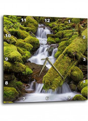 Washington Olympic National Park Small Stream In Forest Wall Clock Multicolour 13x13inch reviews Washington Olympic National Park Small Stream In Forest Wall Clock Multicolour 13x13inch