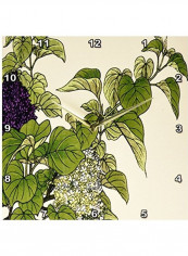Lilac Bushes Woodblock Print Wall Clock Multicolour 13x13inch