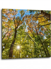 Trees Printed Analog Wall Clock Multicolour 13x13x0.1inch