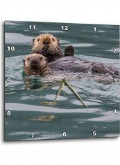 Wall Clock Multicolour 13x13inch