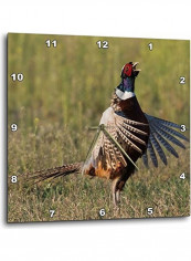 Hen Printed Wall Clock Multicolour 13x13x0.1inch