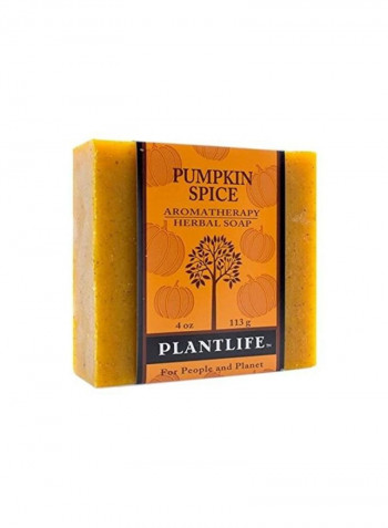 4-Piece Pumpkin Spice Herbal Soap 4ounce