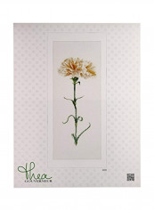 Carnation Counted Cross Stitch Kit White/Yellow/Green reviews Carnation Counted Cross Stitch Kit White/Yellow/Green