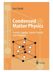 Condensed Matter Physics Paperback 2004 Edition