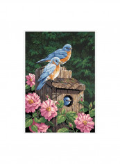 Garden Bluebirds Paint By Numbers Kit Pink/Green/Blue reviews Garden Bluebirds Paint By Numbers Kit Pink/Green/Blue