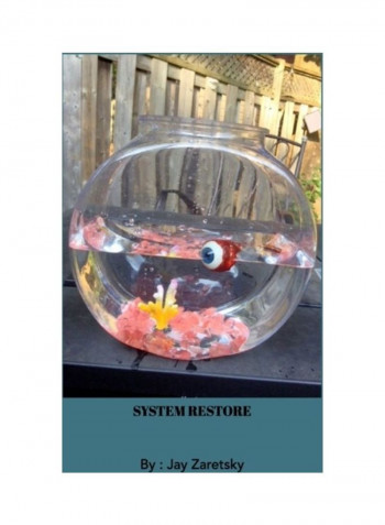 System Restore Hardcover