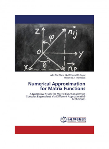 Numerical Approximation For Matrix Functions Paperback