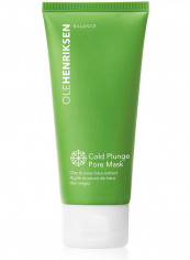 Cold Plunge Pore Mask 0.5ounce reviews Cold Plunge Pore Mask 0.5ounce