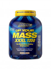 XXXL 1350 Ultimate Mass Building Weight Gainer