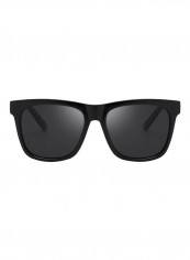 Men's Wayfarer Sunglasses
