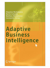 Adaptive Business Intelligence Hardcover 2006 Edition