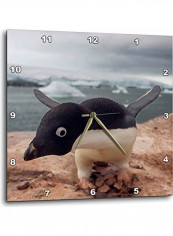 Adelie Penguin Printed Wall Clock Multicolour 13x13x0.1inch