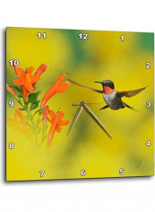Bird Printed Wall Clock Multicolour 13x13x0.1inch
