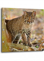 Bobcat Printed Analog Wall Clock Multicolour 13x13x0.1inch