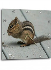 Squirrel Printed Wall Clock Multicolour 13x13x0.1inch