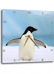 Adelie Penguins on Ice Printed Wall Clock Multicolour 13 x 13inch