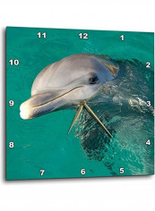 Dolphin Wall Clock Multicolour 13 X 13inch reviews Dolphin Wall Clock Multicolour 13 X 13inch
