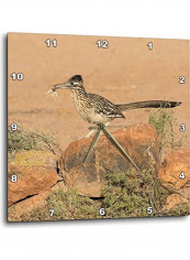 Road Runner Wall Clock Multicolour 13x13inch reviews Road Runner Wall Clock Multicolour 13x13inch