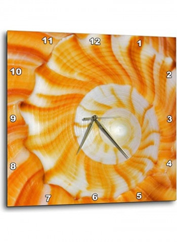DPP 89003 2 Natural Spiral Pattern In Seashell Florida Wall Clock Multicolour 13x13inch