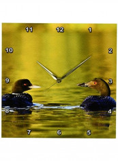 Common Loon Bird On Beaver Lake Printed Wall Clock Multicolour 13x13x0.1inch