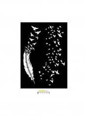 Feathers And Clouds of The Birds Template A4 Black/White