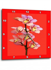 Oriental Pink Orchids On Red Wall Clock Multicolour 13x13inch