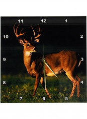 White-Tailed Deer Wall Clock Multicolour 13 X 13inch