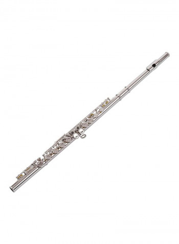 16 Holes Closed Hole Flute C Key Flute