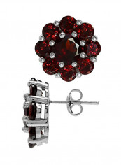 925 Sterling Silve Natural Garnet White Gold Plated Flower Cluster Garnet Post Earrings reviews 925 Sterling Silve Natural Garnet White Gold Plated Flower Cluster Garnet Post Earrings