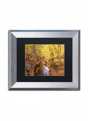 Beaver Creek 5 Wall Art Multicolour 11 x 14inch