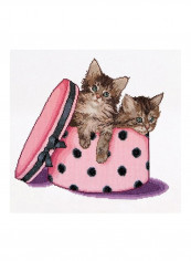 Twin Kittens Cross Stitch Kit White/Brown/Pink reviews Twin Kittens Cross Stitch Kit White/Brown/Pink