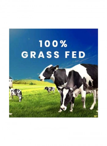 New Formula Grass-Fed Whey Protein - Vanilla