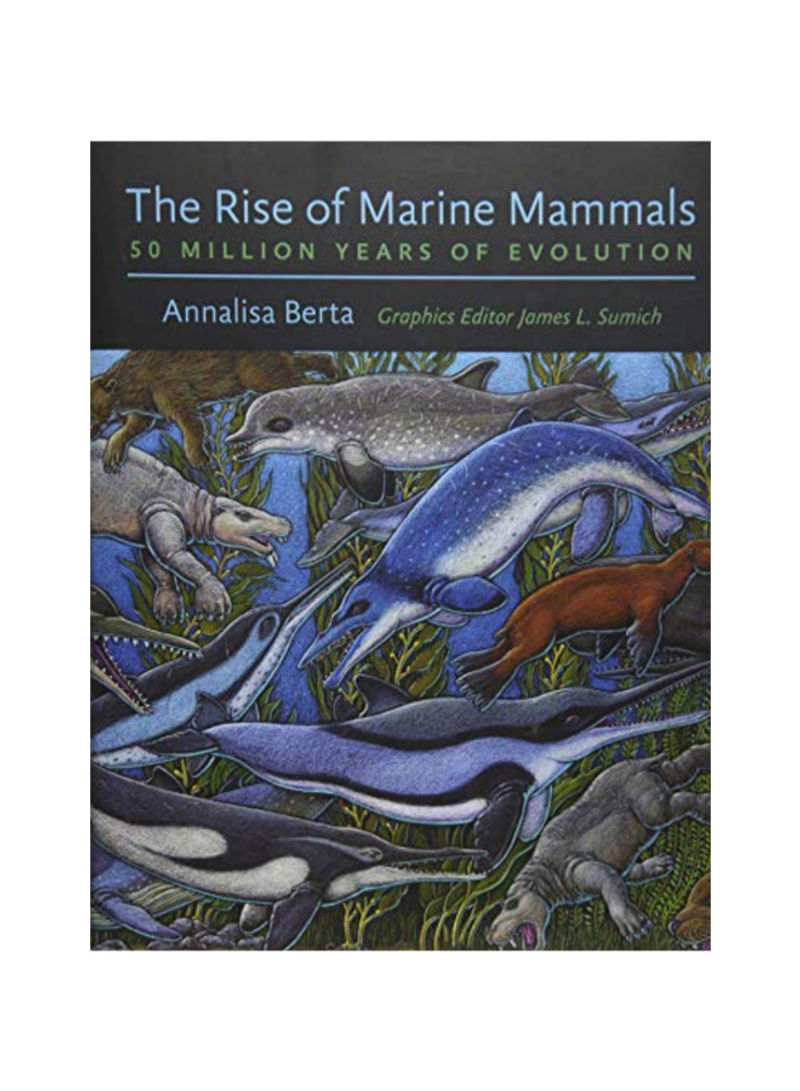The Rise Of Marine Mammals Hardcover 1