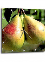 2 Pears Wall Clock Multicolour 14 x 14 x 3inch reviews 2 Pears Wall Clock Multicolour 14 x 14 x 3inch