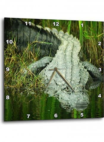 An Alligator Wall Clock Multicolour 13x13inch