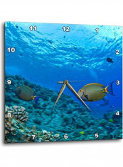 Fish Wall Clock Multicolour 13x13inch