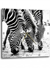 Three Zebras Wall Clock Multicolour 13x13inch reviews Three Zebras Wall Clock Multicolour 13x13inch