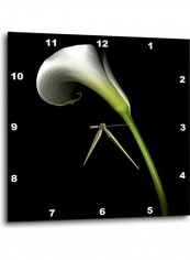 Calla Lily Themed Wall Clock Black/White reviews Calla Lily Themed Wall Clock Black/White