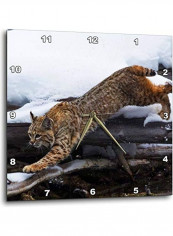 Cat Printed Analog Wall Clock Multicolour 13x13x0.1inch