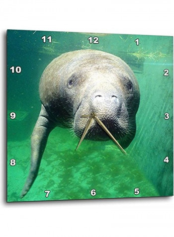 Manatee Wall Clock Multicolour 13x13inch