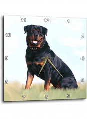 Rottweiler Wall Clock Multicolour 13 x 13inch reviews Rottweiler Wall Clock Multicolour 13 x 13inch