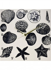 Sea Shells Nautical Beach Printed Analog Wall Clock Multicolour 13x13x0.1inch