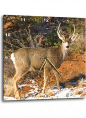Mule Deer Staring Wall Clock Multicolour 13x13inch