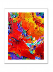 The Roby Chart Anatomy Wall Poster Multicolour 11 x 17inch