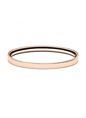 Stainless Steel Ellipse Bangle