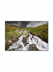 Vert D'Eau Canvas Wall Art Multicolour 14 x 19inch