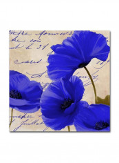 Coquelicots Bleues I Canvas Wall Art Blue/Beige 14 x 14inch