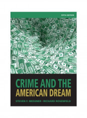 Crime And The American Dream Paperback 5
